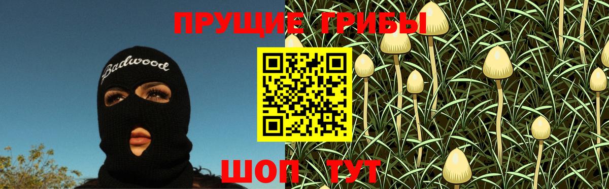 Галлюциногенные грибы Cubensis Волхов