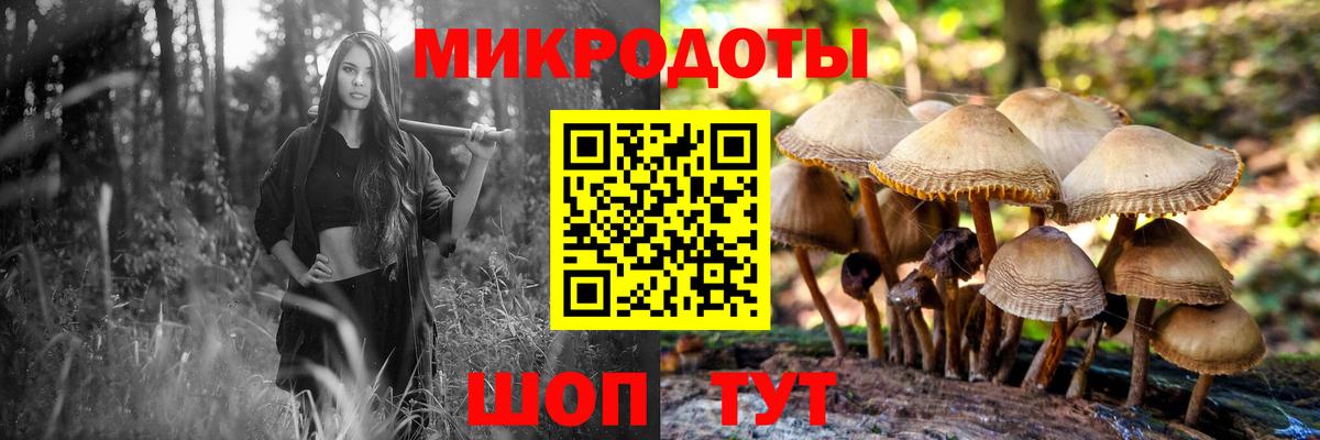 Волхов  Галлюциногенные грибы мухоморы  закладка  Вход с VPN 